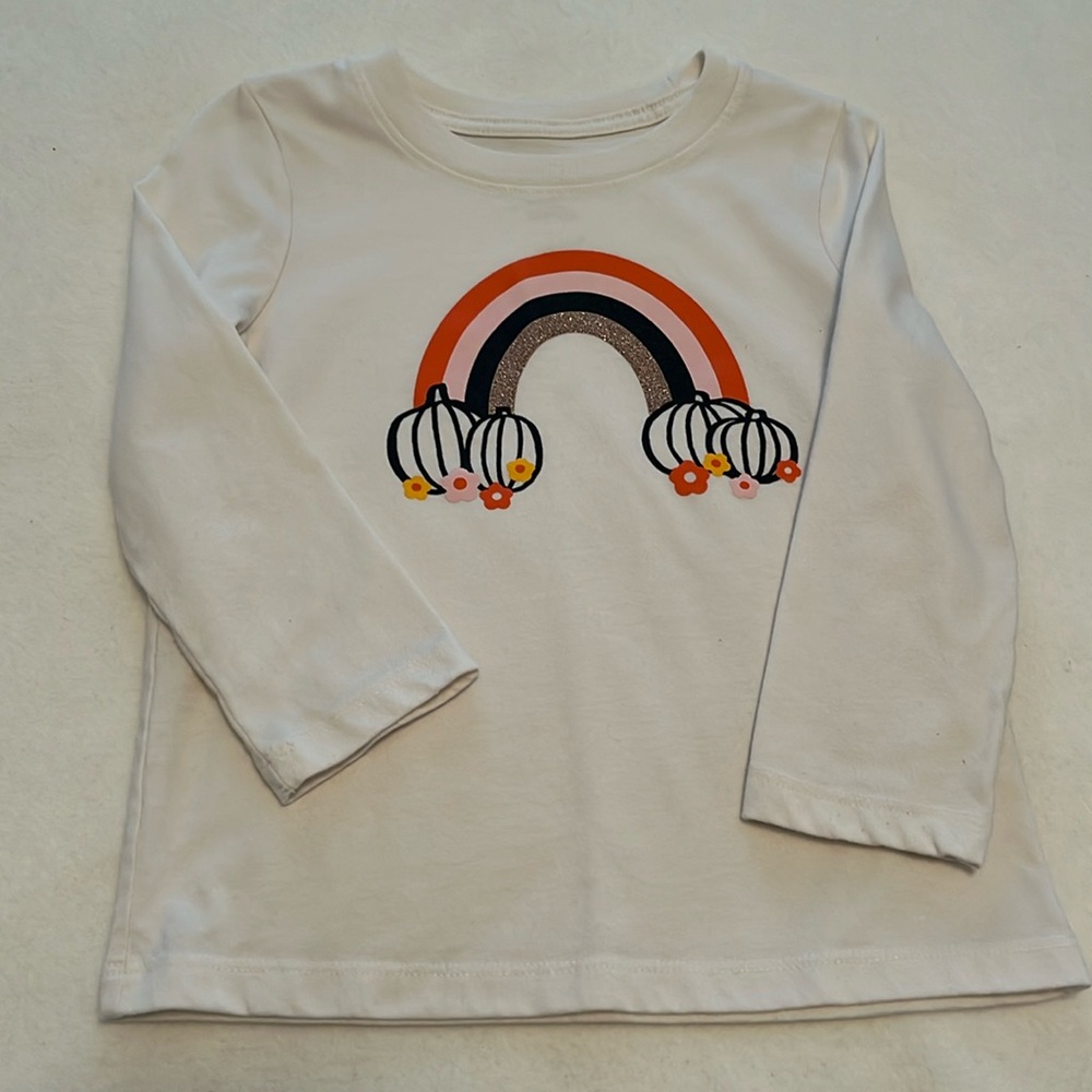 3T Cat and Jack Fall shirt